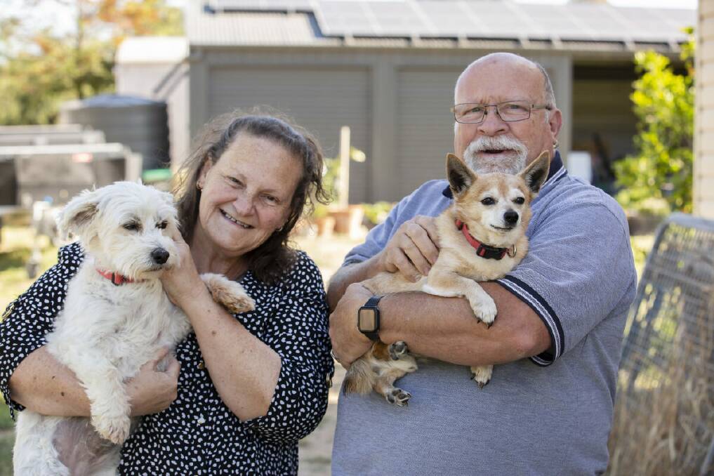 Lesley and Brian Smith and their two dogs were rescued on November 14, 2022. Picture by Kim Storey